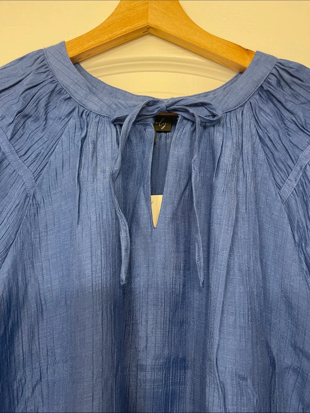 Wonderly Blue Short Sleeve Tie-Neck Peasant Blouse size large, NeW - Picture 3 of 7